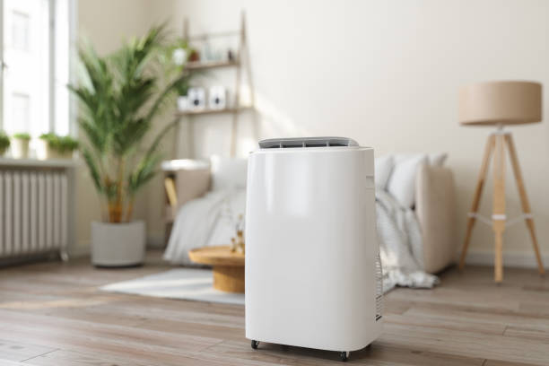 Best HVAC Emergency Services  in Pecatonica, IL